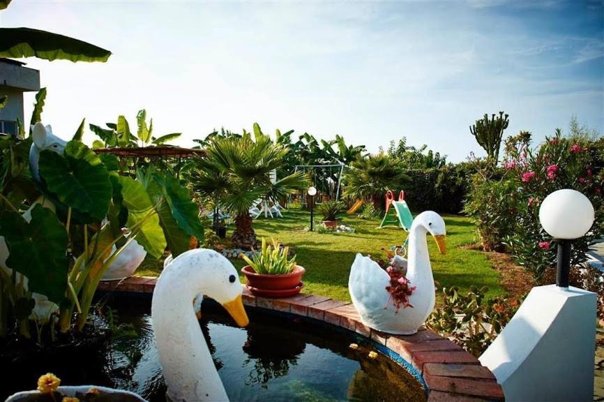 Case Vacanze Giardino Parghelia Εξωτερικό φωτογραφία