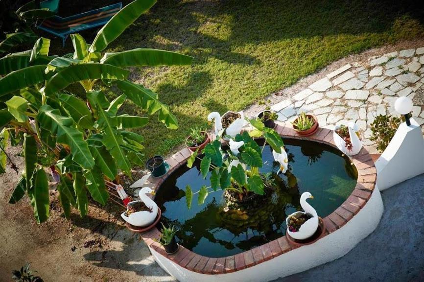 Case Vacanze Giardino Parghelia Εξωτερικό φωτογραφία